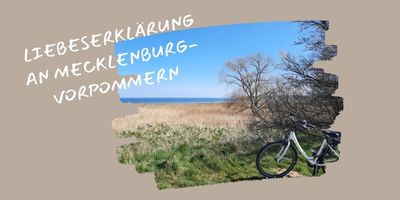 Ich war noch niemals_Banner.jpg